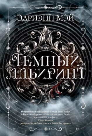 Темный лабиринт. Книга 1 фото книги