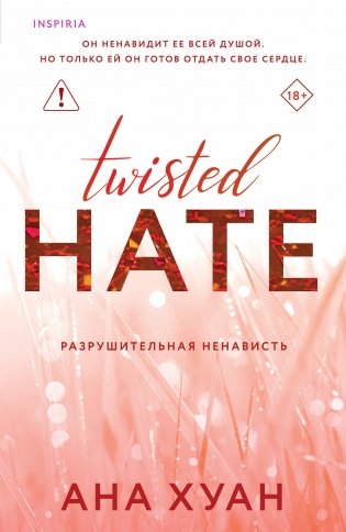 Разрушительная ненависть фото книги