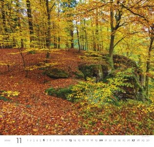 Forest (Лес). Календарь настенный на 2022 год фото книги 10