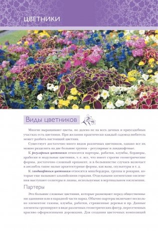 Цветники, розарии, клумбы фото книги 4