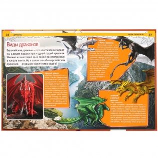 Драконы фото книги 4