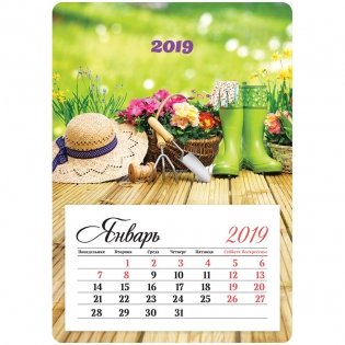 Календарь отрывной на 2019 год "Mono - Дачный сезон", на магните, 95x135 мм фото книги