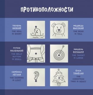 Что это? фото книги 8