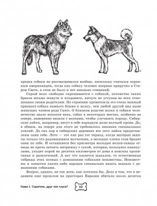 Собака. Полное руководство по дрессировке и уходу фото книги 10