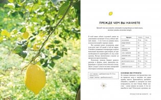 Лимон: От корки до корки. Яркие рецепты с цитрусовыми нотками фото книги 2