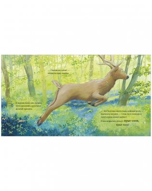 Книжки-картинки. Каждый из нас чудо! фото книги 4