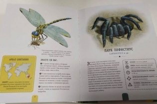 Насекомые. Энциклопедия, которая становится экзотической коллекцией насекомых фото книги 4
