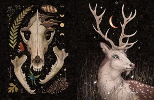 Selcha Uni. Артбук фото книги 2