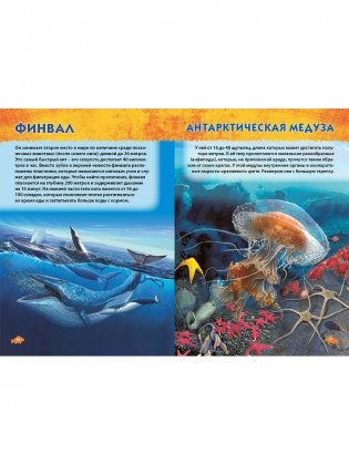 Подводный мир. Первая энциклопедия дошкольника фото книги 8