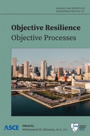 Objective Resilience: Objective Processes фото книги