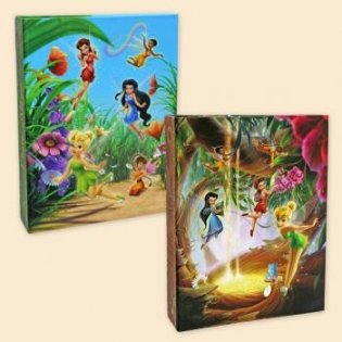 Фотоальбом "Fairies", 10 магнитных листов, 23x28 см фото книги