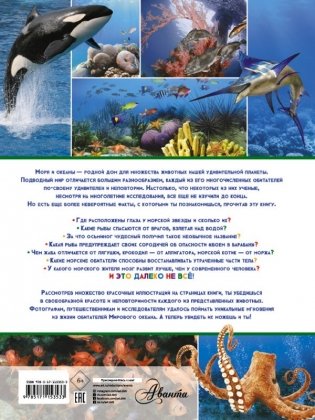 Животные морей и океанов фото книги 2