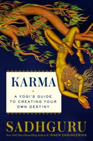 Karma. A Yogi's Guide to Creating Your Own Destiny фото книги