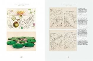 The Botanical Treasury фото книги 2