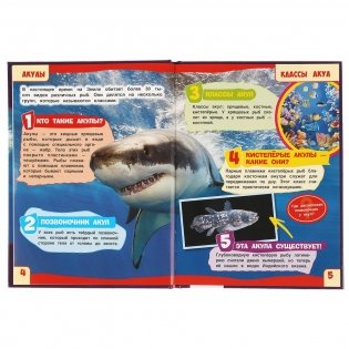 Акулы. 100 фактов. Энциклопедия с развивающими заданиями фото книги 3
