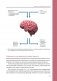 Нейроатлетика для улучшения реакции и скоростных характеристик: скорость зарождается в мозге фото книги маленькое 13