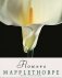 Robert Mapplethorpe Flowers фото книги маленькое 2