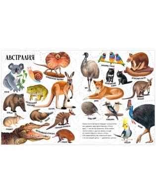 Приключения улитки Элли в мире животных (мягкая обложка) фото книги 4