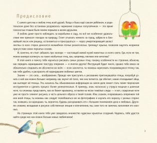 Рисуем милых птиц фото книги 4