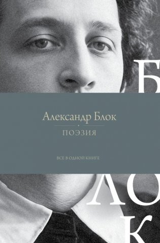 Поэзия. Все в одной книге фото книги