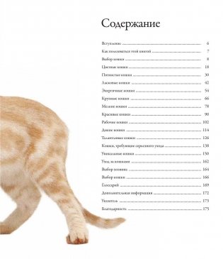 Все породы кошек фото книги 4
