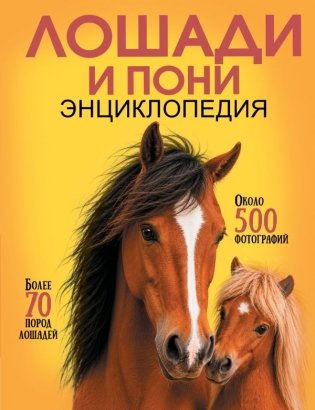 Лошади и пони фото книги