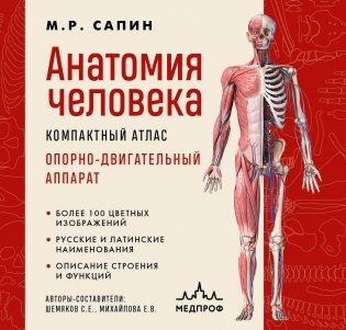 Анатомия человека. Компактный атлас. Опорно-двигательный аппарат фото книги