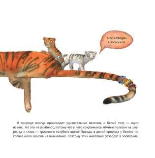 Индия. Страна мудрецов фото книги 5