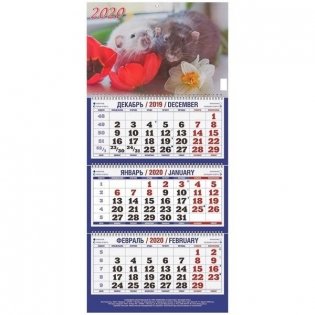 Календарь настенный квартальный трехблочный на 2020 год "Символ года. Вид 2", 310x685 мм фото книги