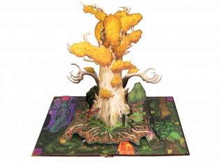 Книга Чудес фото книги 3