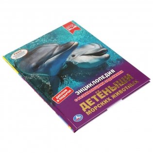 Детеныши морских животных фото книги 5