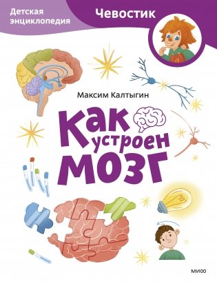 Как устроен мозг. Детская энциклопедия (Чевостик) (Paperback) фото книги