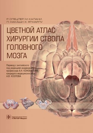 Цветной атлас хирургии ствола головного мозга фото книги