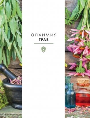 Алхимия трав. Специи и травы на вашей кухне: от приправ до лекарства фото книги 11