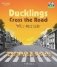 Ducklings Cross the Road фото книги маленькое 2