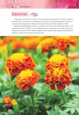 Лучшие цветы для вашего сада фото книги 5