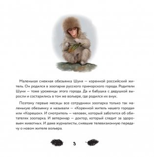 Тайна снежной обезьяны фото книги 4