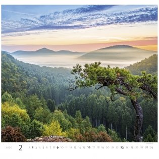 Forest (Лес). Календарь настенный на пружине на 2020 год фото книги 3