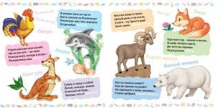 Загадки о животных фото книги 2