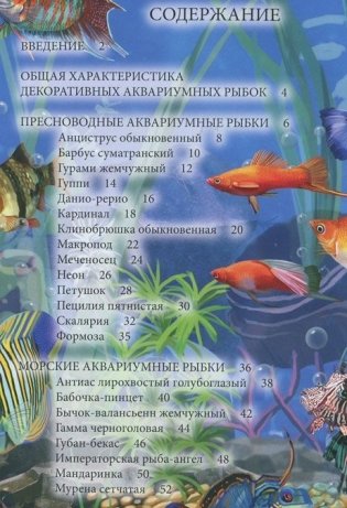 Энциклопедия. Аквариумные рыбки фото книги 4
