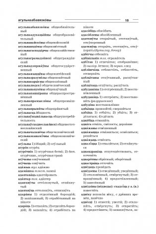 Большой белорусско-русский, русско-белорусский словарь фото книги 16