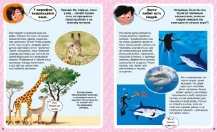 Ответы почемучкам. 100 вопросов обо всем на свете фото книги 7