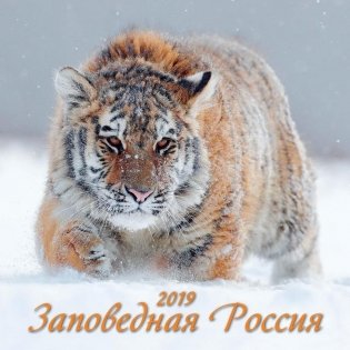 Календарь настенный на 2019 год "Заповедная Россия", 285х285 мм фото книги