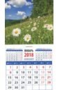 Календарь магнитный на 2018 год "Ромашки на цветущем лугу" фото книги