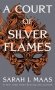 A Court of Silver Flames фото книги маленькое 2