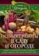 Осенние работы в саду и огороде. Защита от болезней, посадки, удобрения, уборка, обрезка, подготовка фото книги маленькое 2