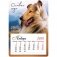 Отрывной календарь "Mono - Год собаки", на магните, 95x135 мм, на 2018 год фото книги маленькое 2