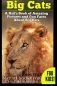 Big Cats. A Kid&apos;s Book of Amazing Pictures and Fun Facts About Big Cats: Lions Tigers and Leopards фото книги маленькое 2