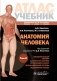 Анатомия человека: атлас: учебное пособие: в 3-х т. Т. 2 фото книги маленькое 2
