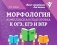 Морфология: комплексная подготовка к ОГЭ, ЕГЭ и ВПР фото книги маленькое 2